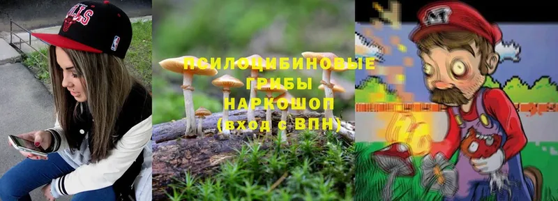 Галлюциногенные грибы MAGIC MUSHROOMS  цена наркотик  Нарьян-Мар 